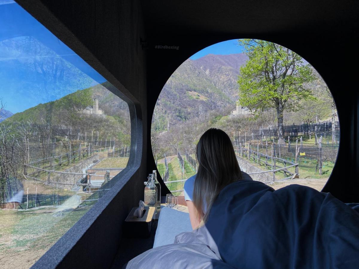 Hotel Birdbox Curzutt Monte Carasso Esterno foto