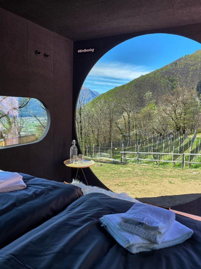 Hotel Birdbox Curzutt Monte Carasso Esterno foto