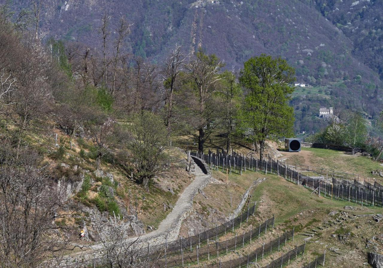 Hotel Birdbox Curzutt Monte Carasso Esterno foto