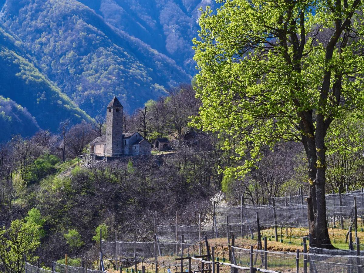 Hotel Birdbox Curzutt Monte Carasso Esterno foto